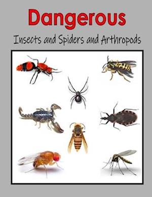 Dangerous Insects and Spiders and Arthropods