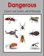 Dangerous Insects and Spiders and Arthropods