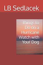 Things to Do on a Hurricane Watch with Your Dog