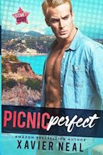 Picnic Perfect: A Small Town Romantic Comedy 