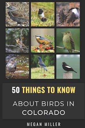 50 Things to Know About Birds in Colorado : Birding the Centennial State