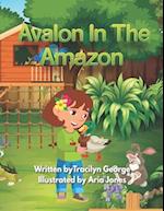 Avalon in the Amazon 