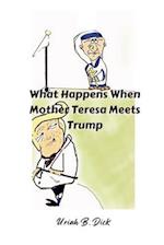 What Happens When Mother Teresa Meets Trump (A Political Satire): A Satire 