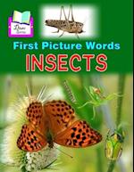 First Picture Words : INSECTS 