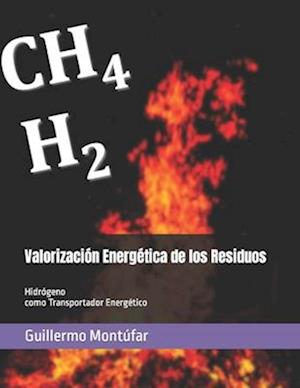 Valorización Energética de los Residuos