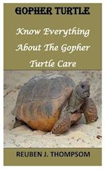 GOPHER TURTLE: Know Everything About The Gopher Turtle 