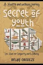 Secret Of Youth: Health and Longevity Hack. How to Slow Down the Aging Process and Sustain Youth 