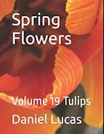 Spring Flowers : Volume 19 Tulips 