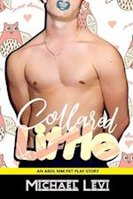 Collared Little: An ABDL MM Pet Play Story 