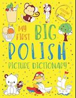 My First Big Polish Picture Dictionary