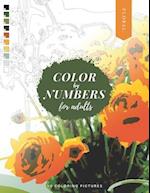 Color by Numbers for Adults