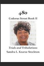 480 Codorus Street Book : Trials and Tribulations 