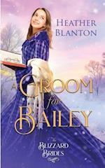 A Groom for Bailey: (The Blizzard Brides Book 16) 