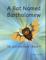 A Bat Named Bartholomew