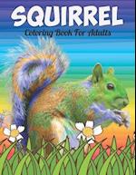 Squirrel Coloring Book For Adults: An Squirrel Coloring Book with Fun Easy , Amusement, Stress Relieving & much more For Adults, Men, Girls, Boys & Te