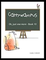 Cattywampus