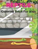 Reptile Coloring Book for Kids: A Collection Of Coloring Page Toddlers & Kids 50 Favorite Reptiles Turtles, Lizard, Crocodiles, Alligators, Anaconda a