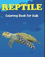 Reptile Coloring Book for Kids: Turtle, Chameleon, Crocodile, Frog and other Reptile Coloring Books For Boys & Girls Age 3-8 and 8-12 