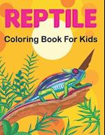 Reptile Coloring Book for Kids: A Coloring Pages for Children with Alligators, Crocodiles, Turtles, Lizards, Snakes, Frogs and More Reptiles. 