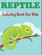 Reptile Coloring Book for Kids: A Coloring Pages for Children with Alligators, Crocodiles, Turtles, Lizards, Snakes, Frogs and More Reptiles. Vol-1 