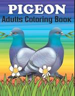 Pigeon Adults Coloring Book: An Pigeon Coloring Book with Fun Easy , Amusement, Stress Relieving & much more For Adults, Men, Girls, Boys & Teens 