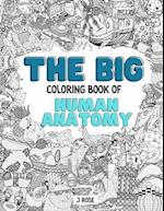 HUMAN ANATOMY: THE BIG COLORING BOOK OF HUMAN ANATOMY: An Awesome Human Anatomy Adult Coloring Book - Great Gift Idea 