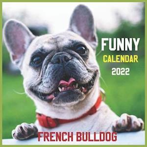 Funny French bulldog Calendar 2022: official Dogs calendar 2022, 12 months, Wild Animals , Cute Dogs, Square 2022 Calendar ,Pets calendar 2022