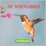 Calendar 2022 hummingbird: Official Hummingbirds 2022 Calendar ,Animals ,Wildlife ,2022 Calendar Birds ,Square 2022 Calendar 