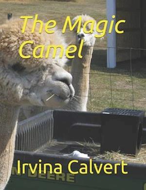 The Magic Camel