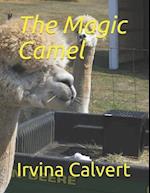 The Magic Camel 