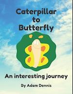 Caterpillar to Butterfly: An Interesting Journey 
