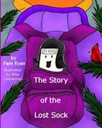 The Story of the Lost Sock 