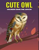 Cute Owl Coloring Book For Adults: An Owl Coloring Book with Fun Easy , Amusement, Stress Relieving & much more For Adults, Men, Girls, Boys & Teens 