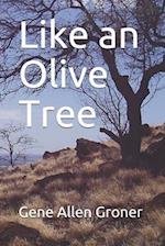 Like an Olive Tree 