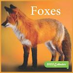 Foxes Calendar 2022: official Foxes calendar 2022,12 months, calendar Wild Animals ,Square Calendar 