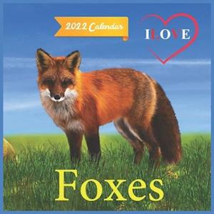 Ilove Foxes Calendar 2022: official Foxes calendar 2022,12 months, calendar Wild Animals ,Square Calendar