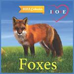 Ilove Foxes Calendar 2022: official Foxes calendar 2022,12 months, calendar Wild Animals ,Square Calendar 