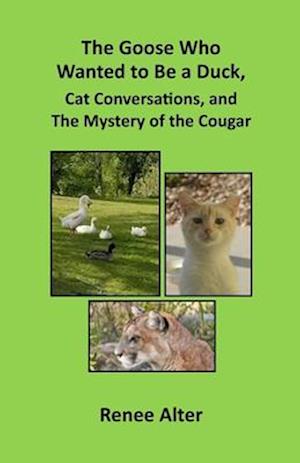 The Goose Who Wanted to Be a Duck, Cat Conversations, and The Mystery of the Cougar