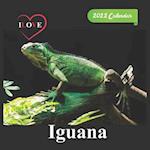 Ilove Iguana calendar 2022: official calendar 2022,12 months, calendar Wild Animals ,Square 2022 Calendar 