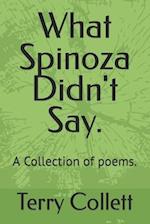 What Spinoza Didn't Say.: A Collection of poems. 