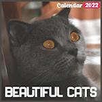 Beautiful Cats Calendar 2022: Official Cat Calendar 2022, 18 Month Photo of cute cat calendar 2022, Square Calendar 