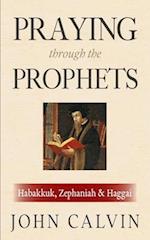 Praying through the Prophets: Habakkuk, Zephaniah & Haggai: Worthwhile Life Changing Bible Verses & Prayer 