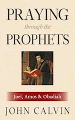 Praying through the Prophets: Joel, Amos & Obadiah: Worthwhile Life Changing Bible Verses & Prayer 