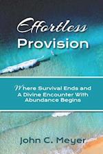 Effortless Provision : Where Survival Ends and A Divine Encounter With Inspiration Begins 