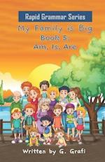 My Family is Big: Book 5: Am, Is, Are 