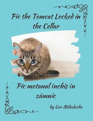 Pic the Tomcat Locked in the Cellar - Motanul Pic închis în zamnic: Poveste bilingva engleza româna pentru copii / English Romanian Story for Children