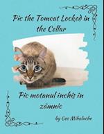 Pic the Tomcat Locked in the Cellar - Motanul Pic închis în zamnic: Poveste bilingva engleza româna pentru copii / English Romanian Story for Children
