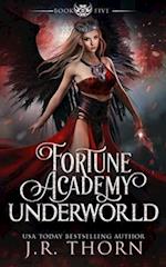 Fortune Academy Underworld: Book Five 