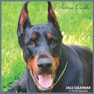 Doberman Pinscher Calendar 2022: Official Doberman Dogs Calendar 2022, 16 Month Calendar 2022