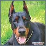 Doberman Pinscher Calendar 2022: Official Doberman Dogs Calendar 2022, 16 Month Calendar 2022 